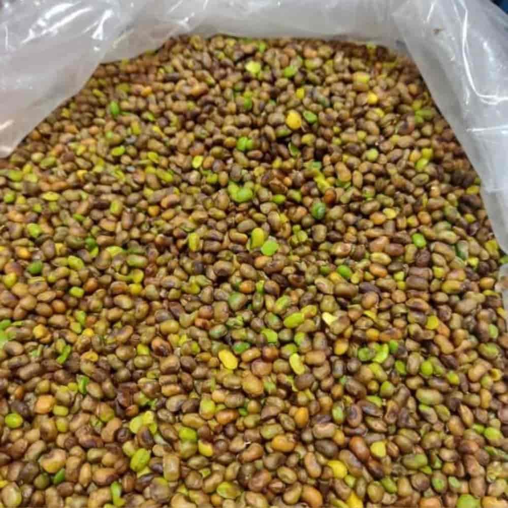 مغز بنه اعلا کردستان