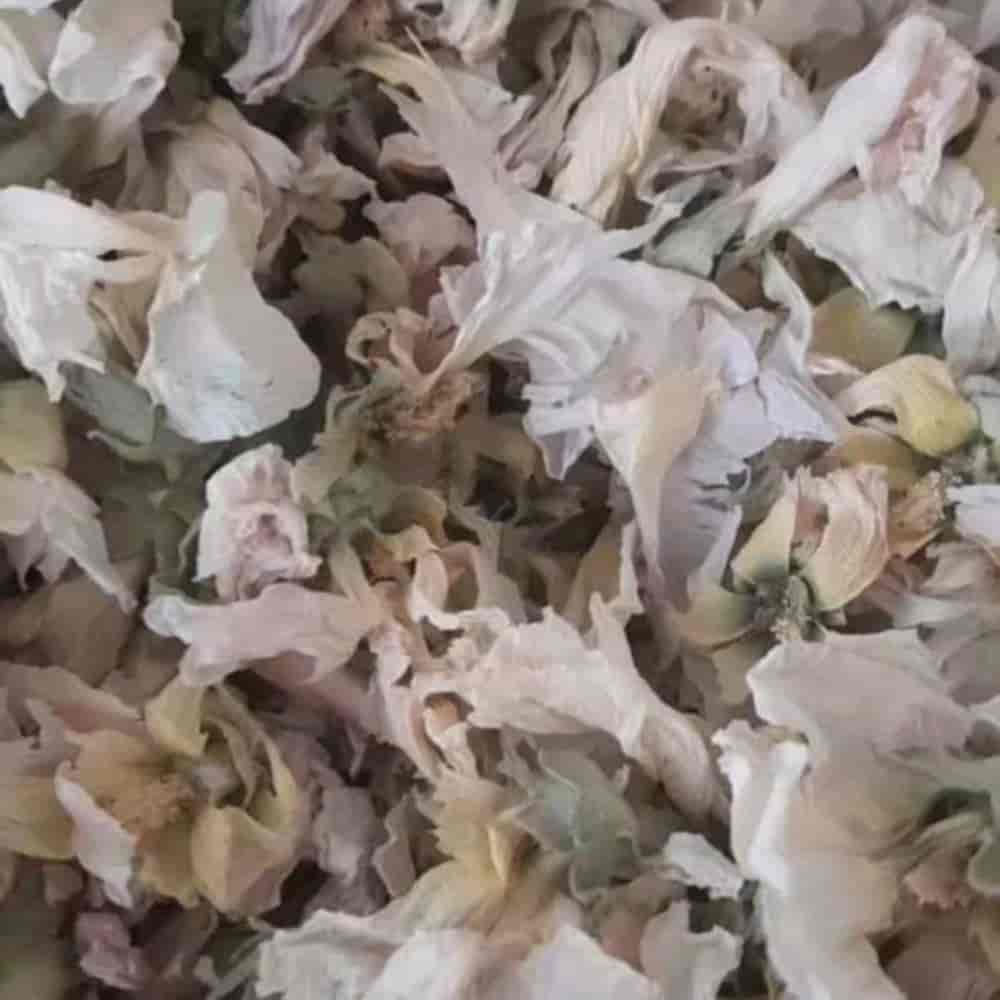ختمی سفید پفکی