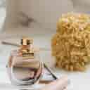 فروشگاه عطر سنجابی ، فروش عطر زنانه و مردانه در کرمانشاه