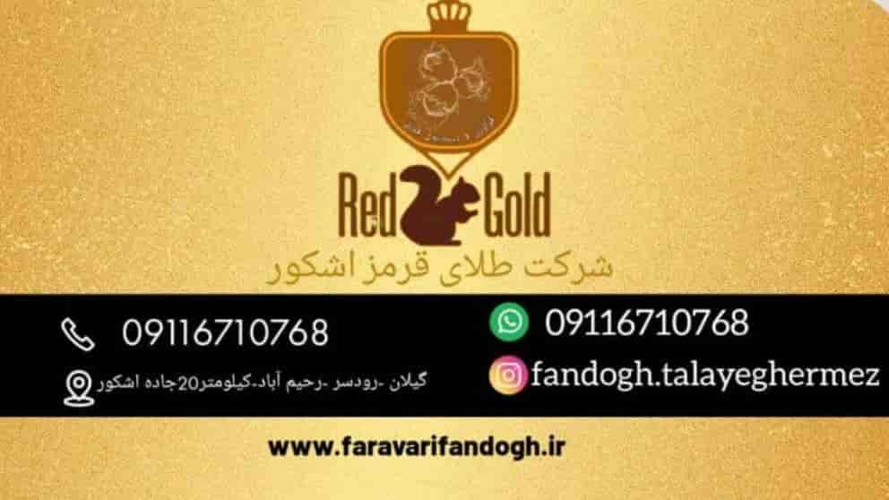 فراوری فندق در گیلان