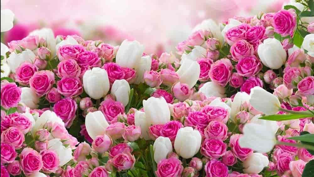 تخفیف ویژه به مناسبت ولنتاین