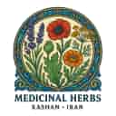 ایلیاگل
