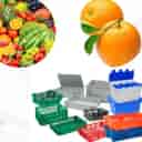 تولیدی برارنژاد