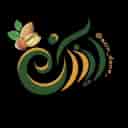 فروشگاه آذین دانه