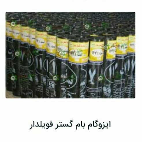 1694931653336.webp