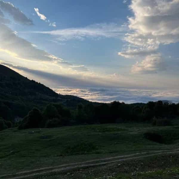 1715669942516.webp