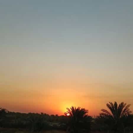 1723269890724.webp