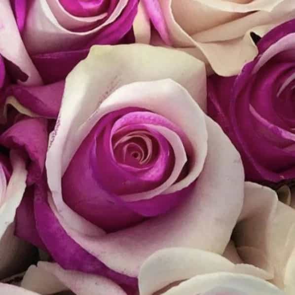1724744246398.webp