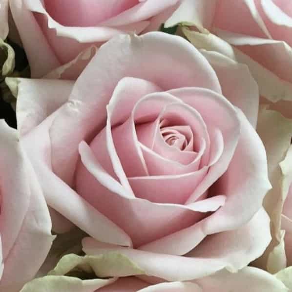 1724744533252.webp