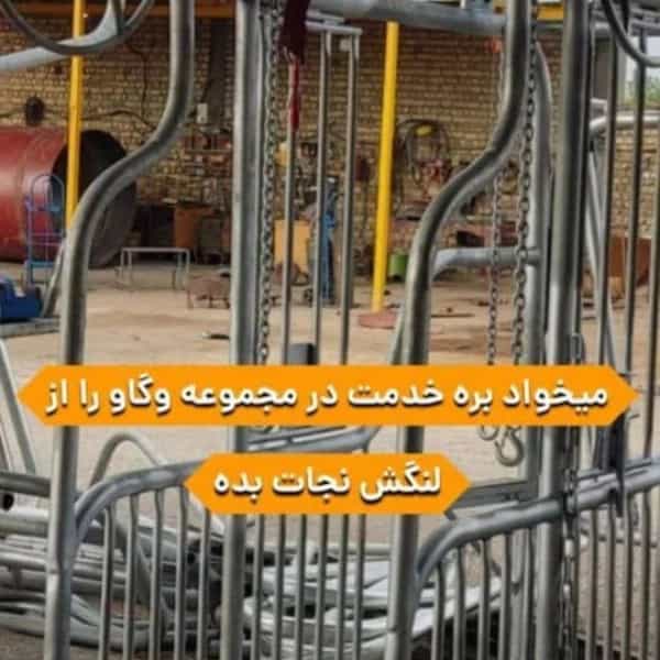 1725531249633.webp