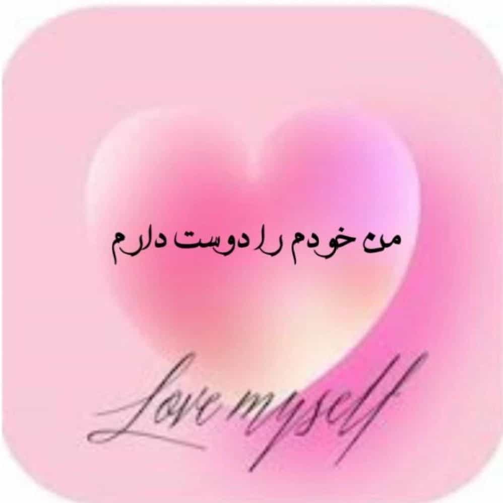 1733207988342.webp