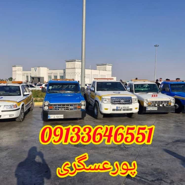 1733556537634.webp