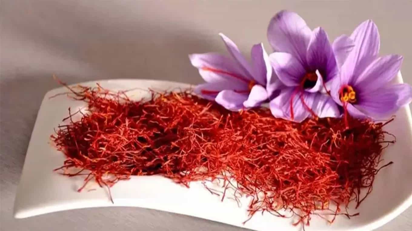 شرکت صادرات زعفران نارین تجارت اسپادانا در نائین