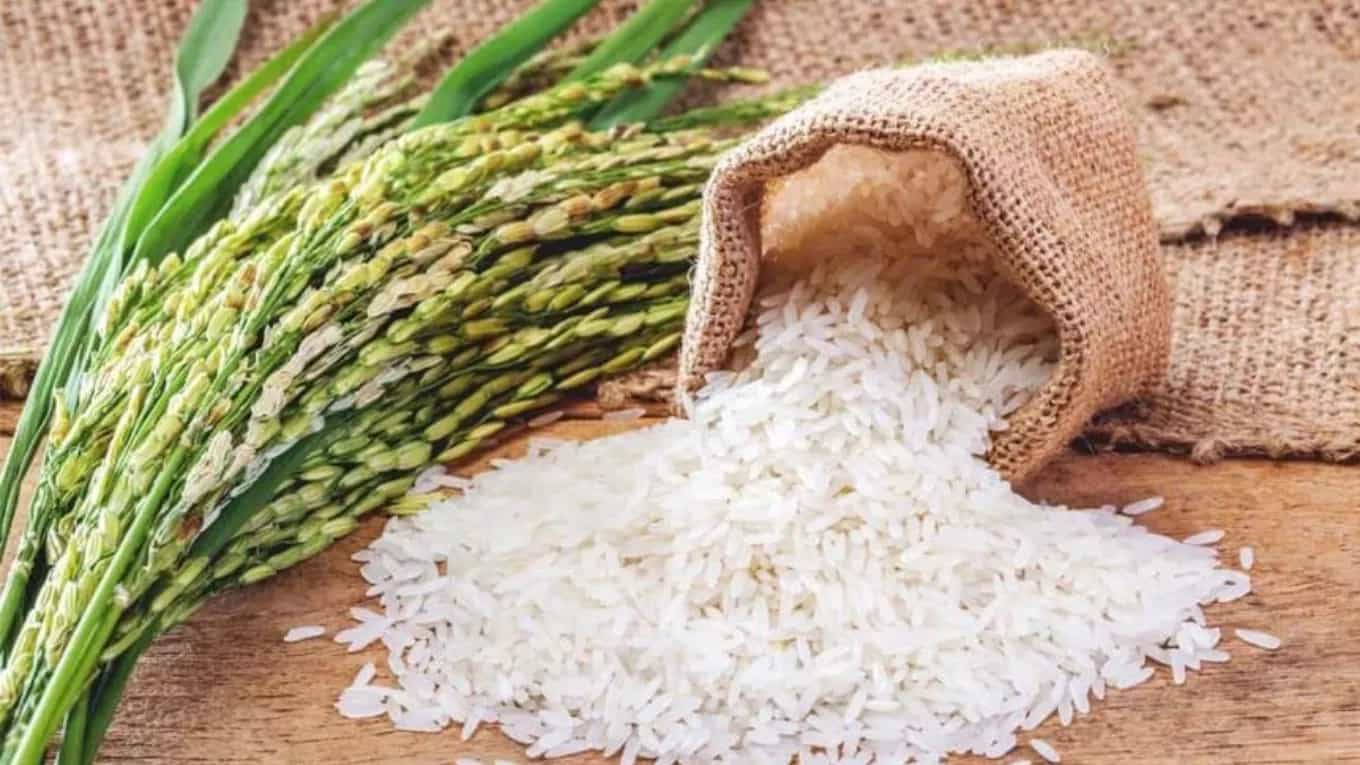 کارخانه برنجکوبی و شالیکوبی مروارید