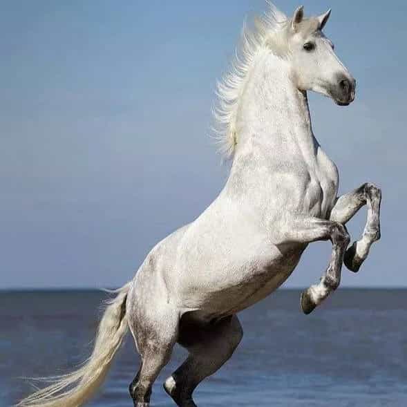 1693728080636.webp