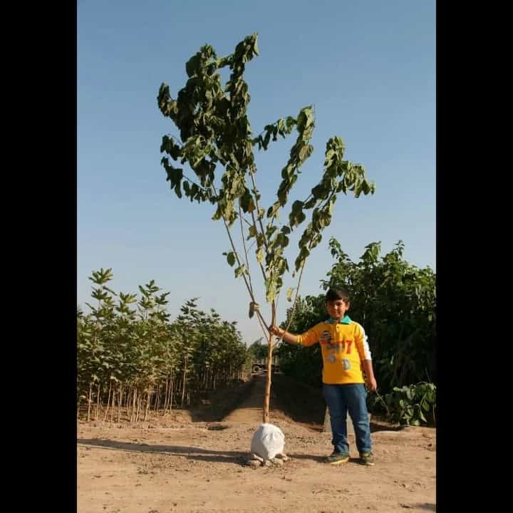 1693911895701.webp