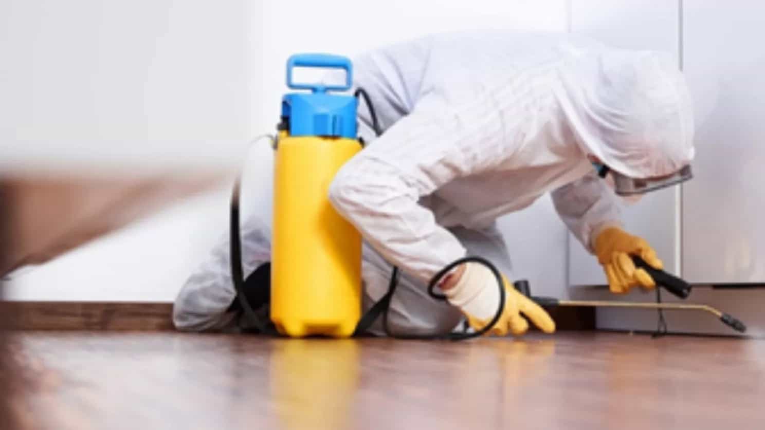 چند نوع سم قوی برای حشرات موذی