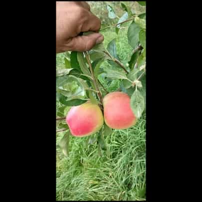 1697092971745.webp