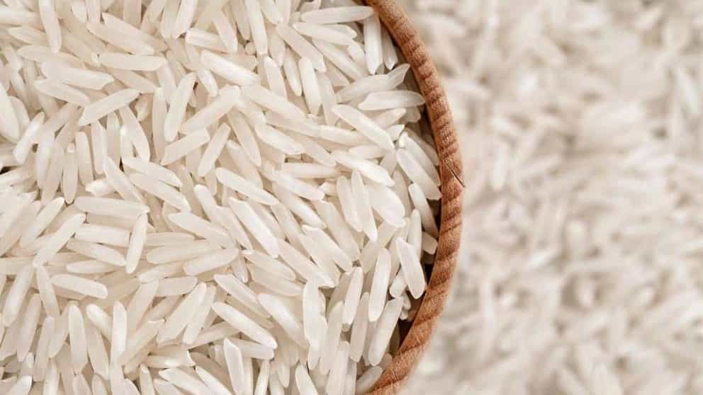 برنج هاشمی گیلان را بشناسیم