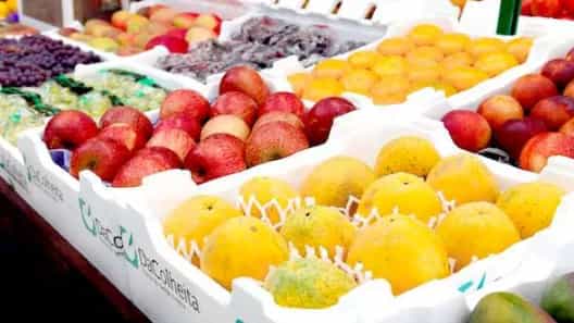 برای صادرات میوه به چه مواردی باید دقت کنیم؟