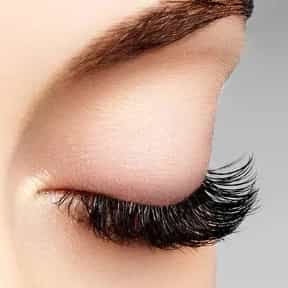 1698124637686.webp
