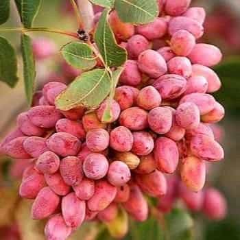 1698134351747.webp
