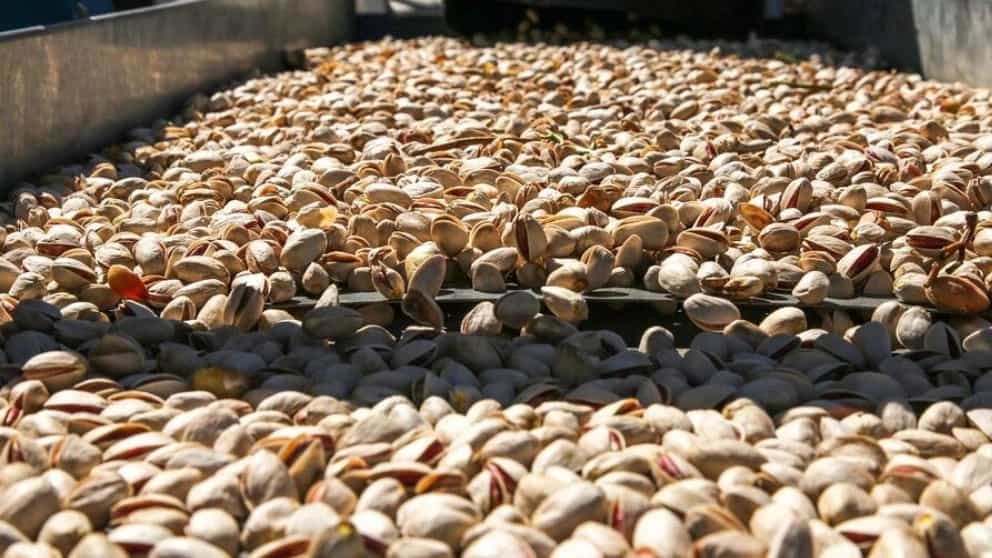 ماشین آلات و دستگاه های فرآوری پسته