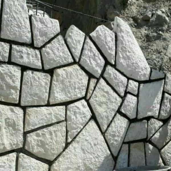 1698911747852.webp