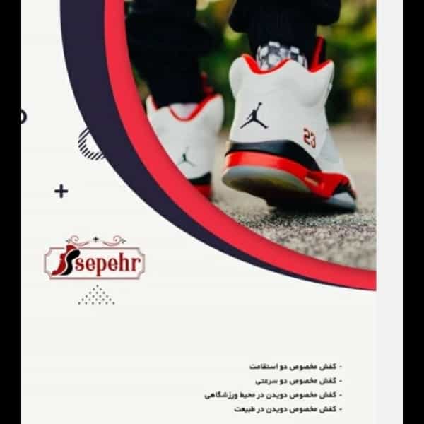 1699263990512.webp