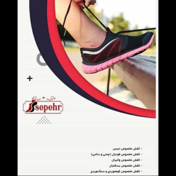 1699264414557.webp
