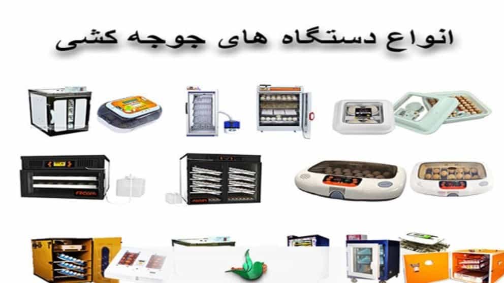دستگاه جوجه کشی چیست و چه کاربردی دارد؟