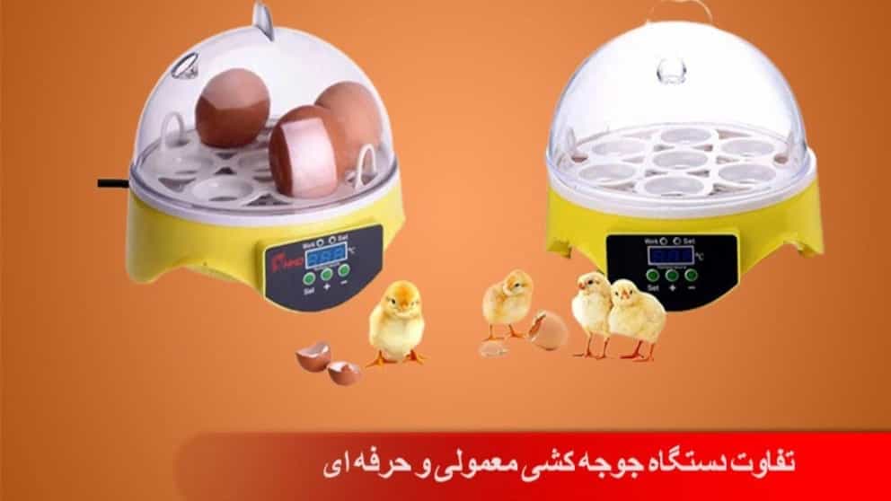 تفاوت دستگاه جوجه کشی معمولی و حرفه ای