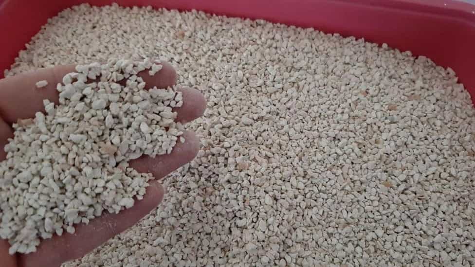 راهنمای خرید خاک گربه