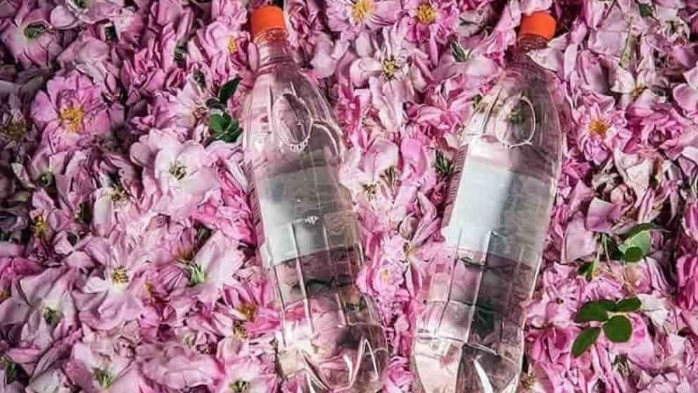 خواص گلاب و عطر دل‌انگیز آن