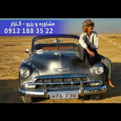 1701339248139.webp