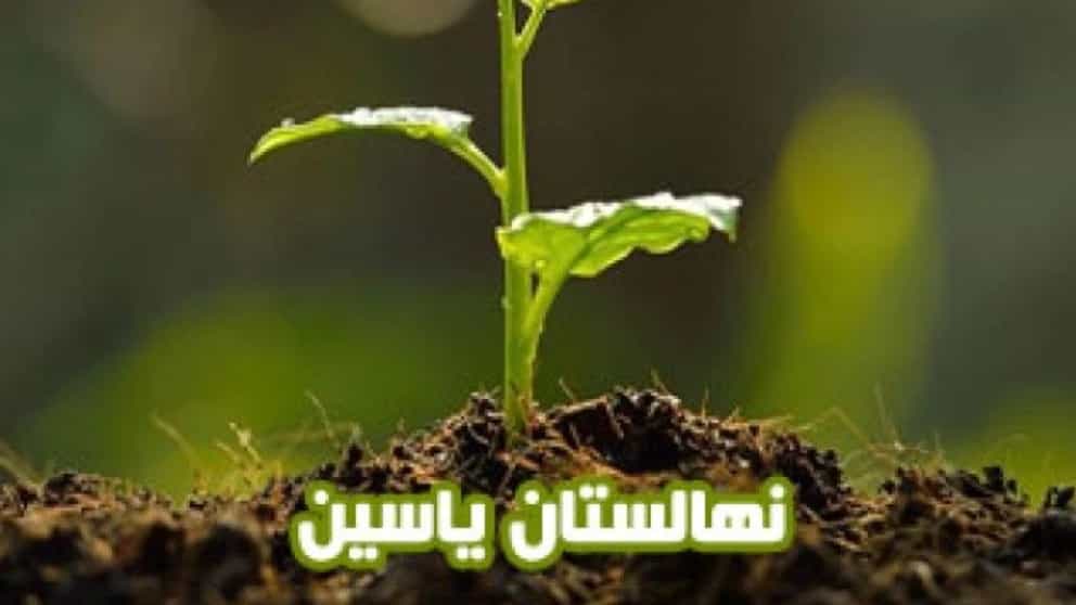نهالستان یاسین در دماوند