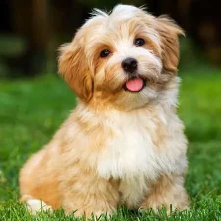 1704608443042.webp