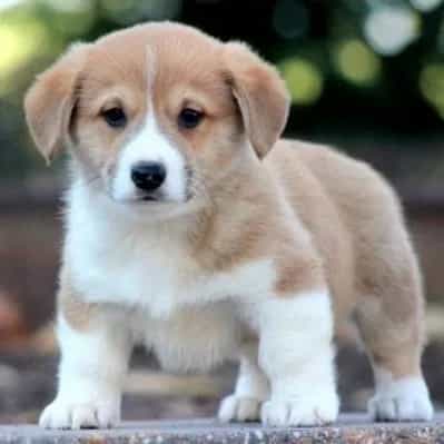 1704608460677.webp