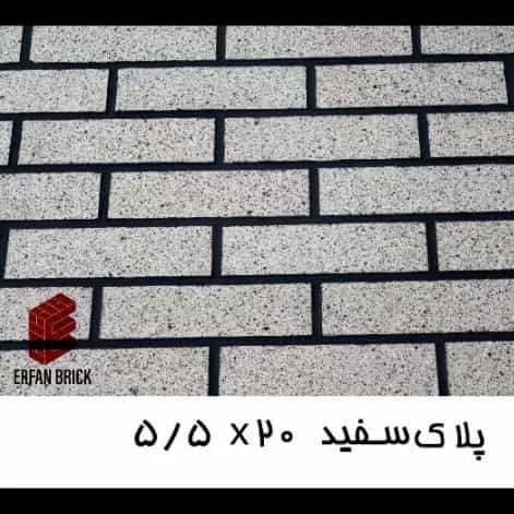 1704696426310.webp