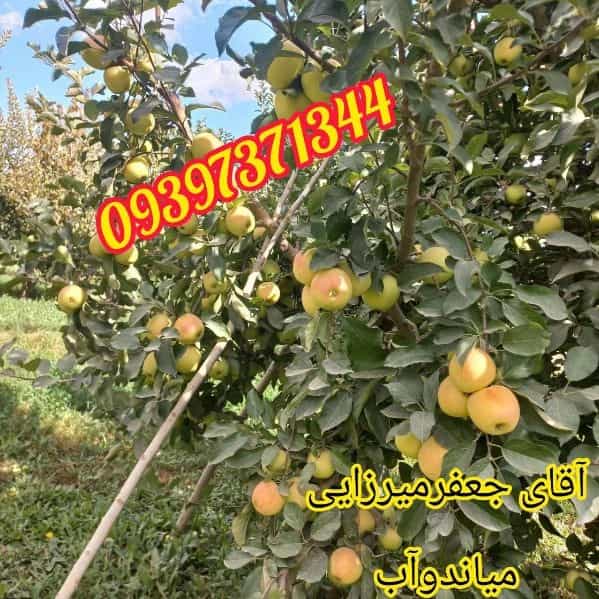 1705123440281.webp