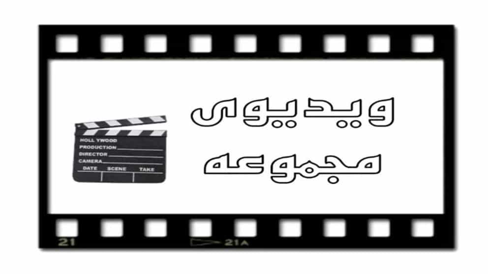 ویدیوهای خرید و فروش انواع گوسفند خارجی خاوند