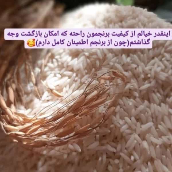 1706525048036.webp