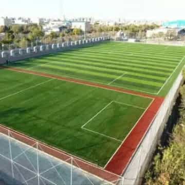 1707038968006.webp