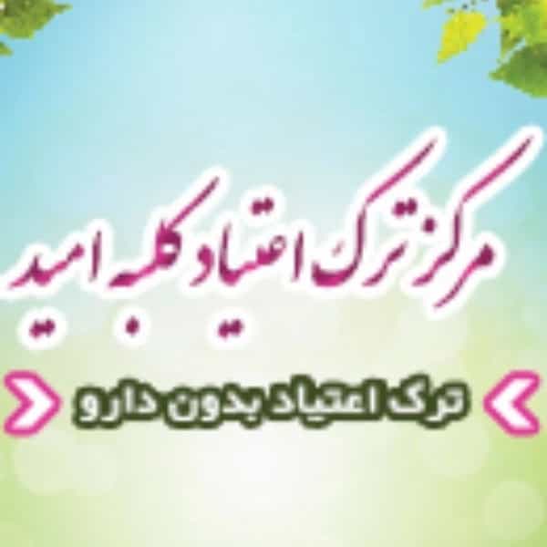 1708245884604.webp