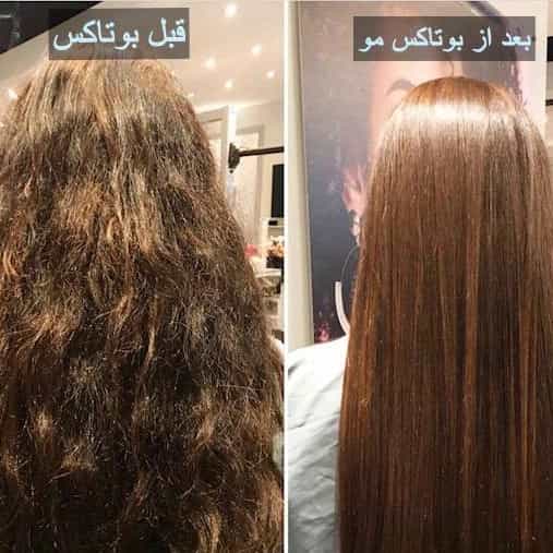 1709103980828.webp