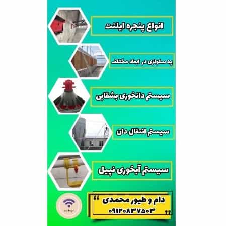 1709188207702.webp