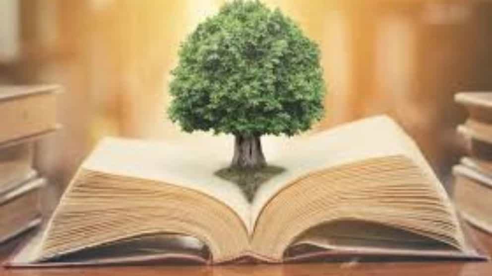 کتابفروشی آلیان