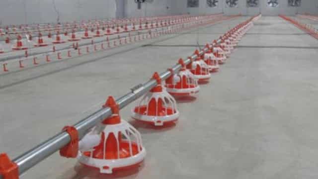نوین صنعت،تجهیزات مرغداری و گلخانه ای در قزوین