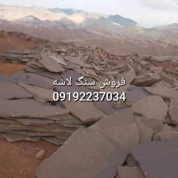 1714241063397.webp