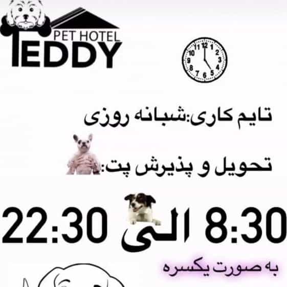 1714479141619.webp